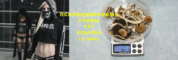 винт Осташков
