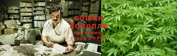 ПСИЛОЦИБИНОВЫЕ ГРИБЫ Балабаново